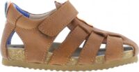 BI21S091-C