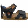 BI21S096-B