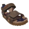 BI21S096-C