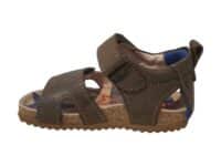 BI21S096-C
