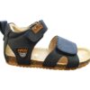 BI25S 008-B