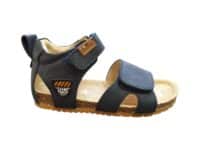 BI25S 008-B
