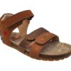 BI25S003-C