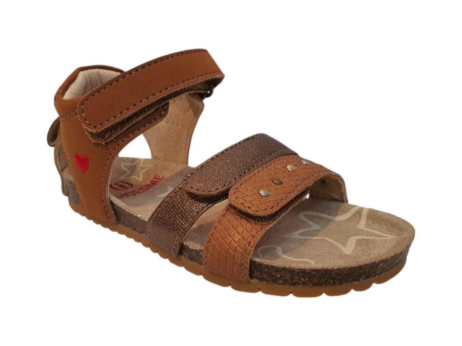 BI25S003-C