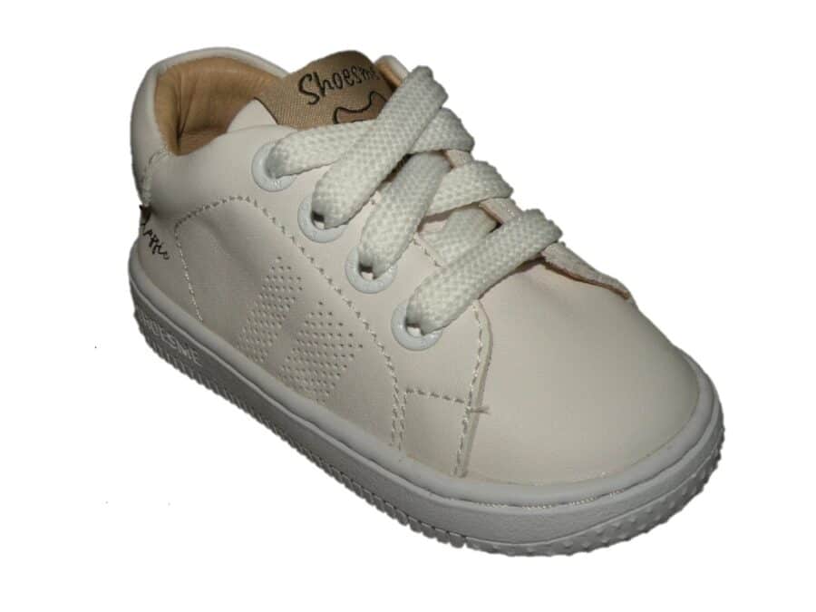 BN24S010-C