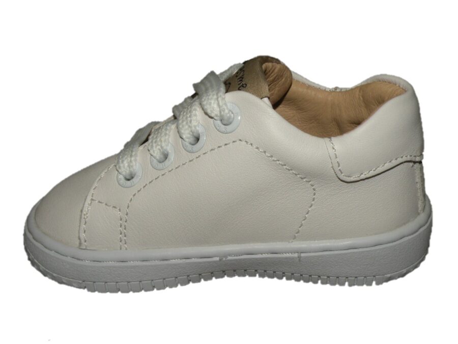 BN24S010-C