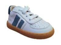 BN26S002-C