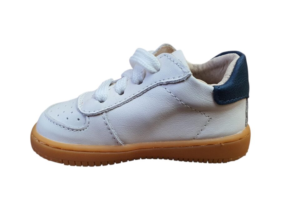 BN26S002-C