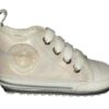 BP23S004-C