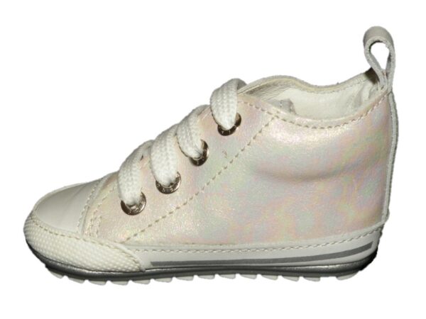 BP23S004-C