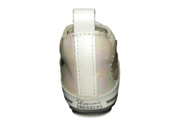 BP23S004-C