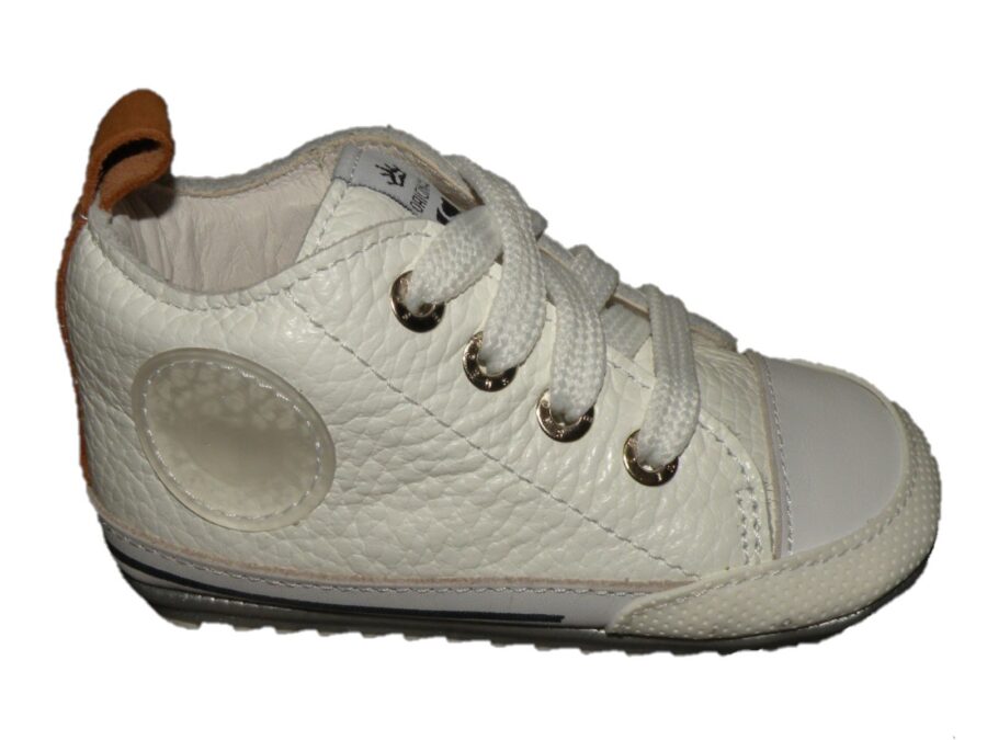 BP23S004-H