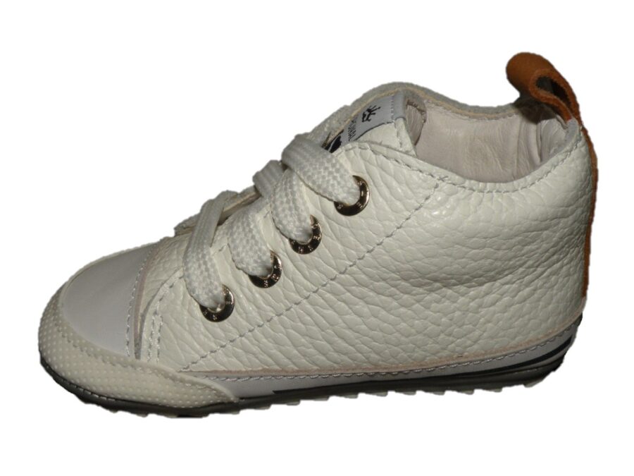 BP23S004-H