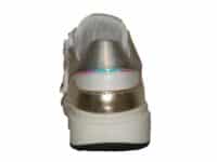 Cis 24540