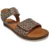 Daisy 25724-866