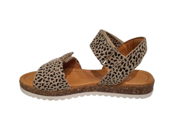 Daisy 25724-866