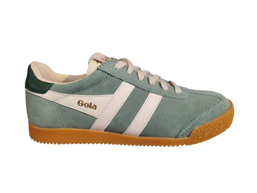 Elan trainer