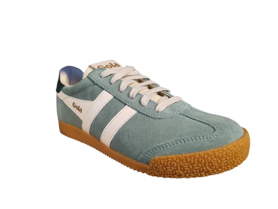 Elan trainer