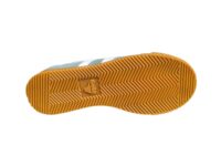 Elan trainer