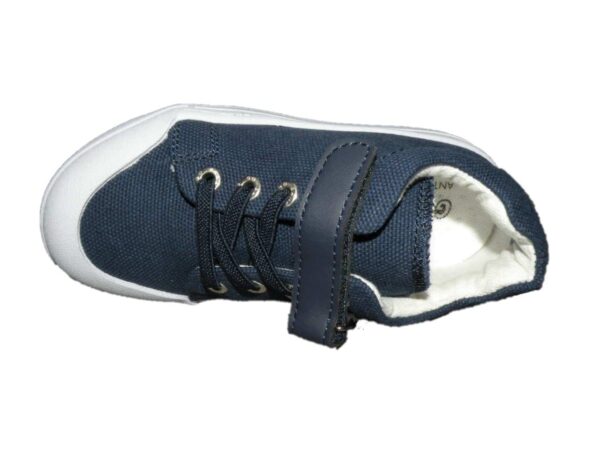 GB22Sblue
