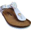 Gizeh- 1029532