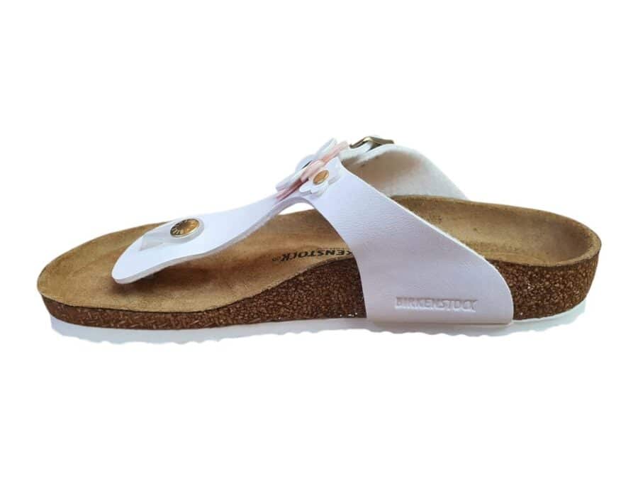 Gizeh-B- 1029515