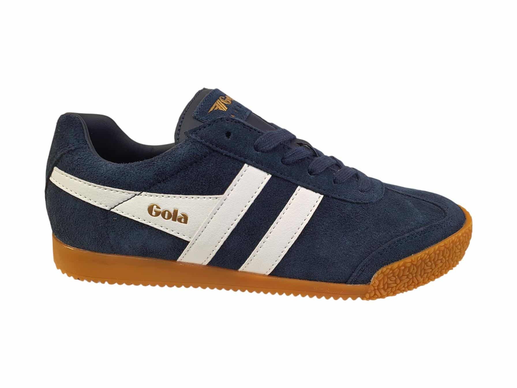 Harrier-Gola-250905095124.jpg Harrier