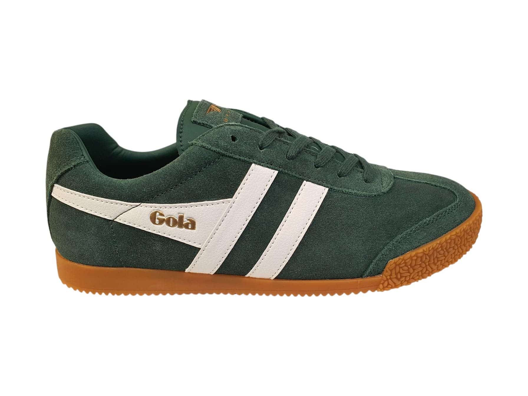 Harrier-Gola-250905101905.jpg Harrier