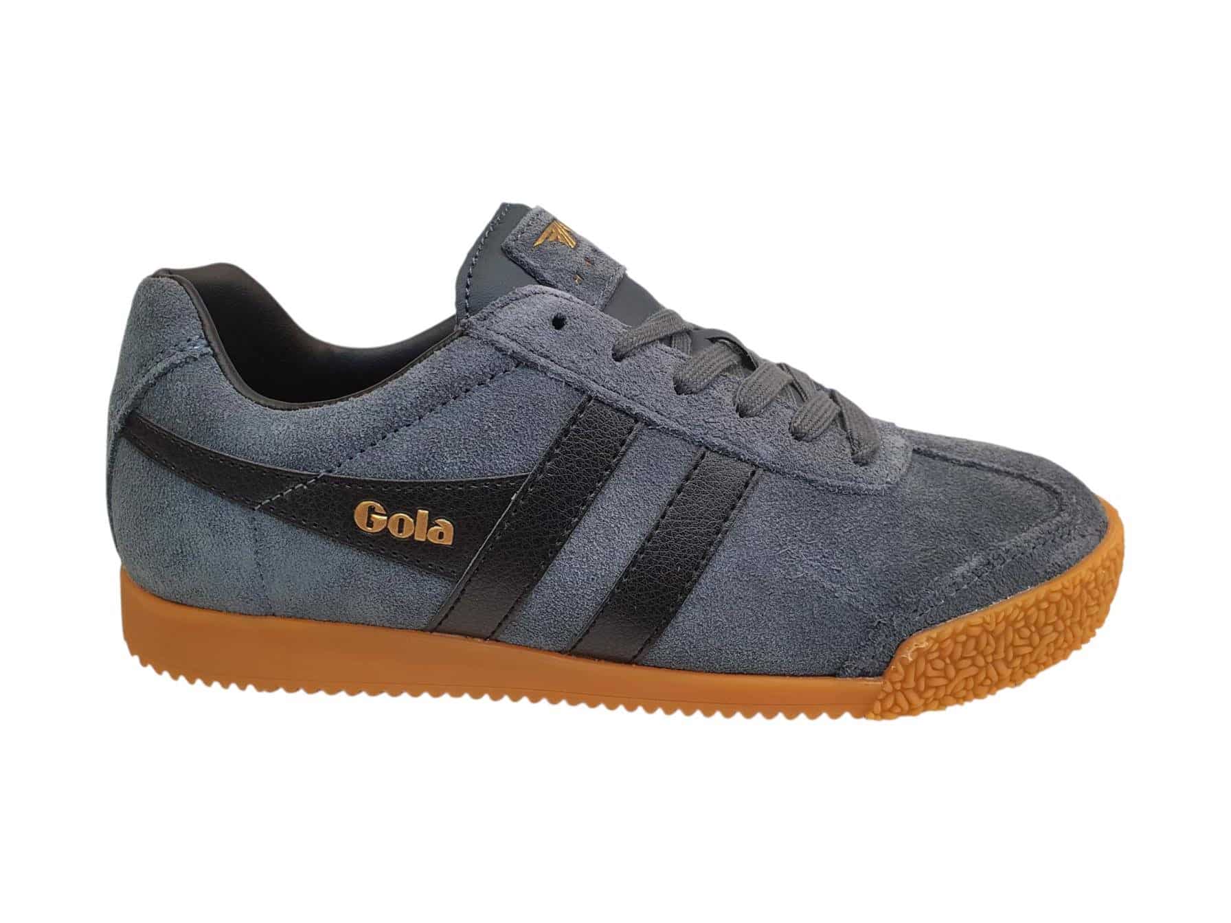 Harrier-Gola-251002105816.jpg Harrier