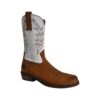 R2401-cogmis