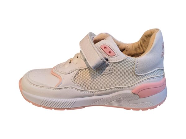 ST25S 006-B