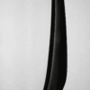 schoenlepel