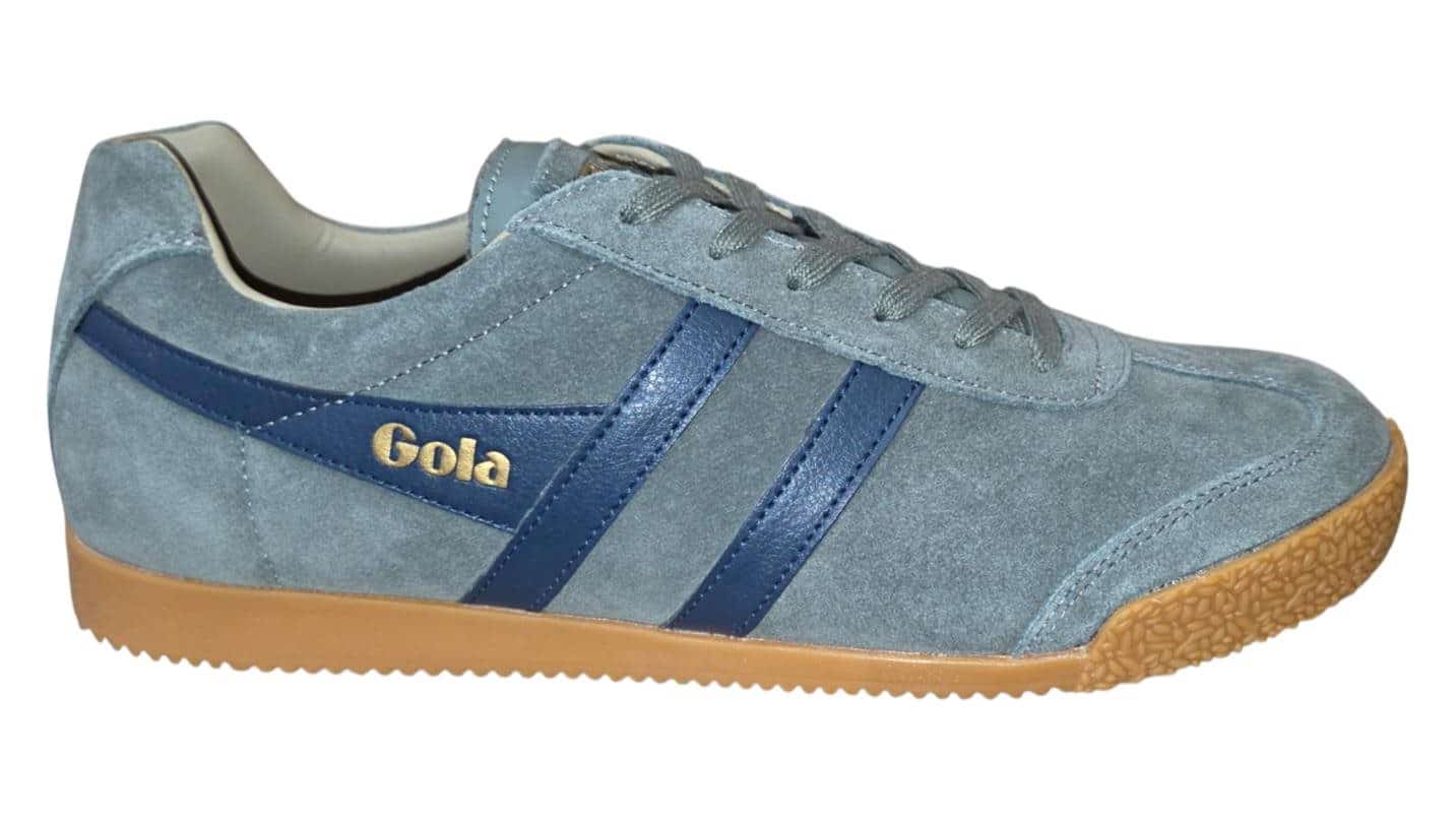 Harrier-Gola-260811161504.jpg Harrier